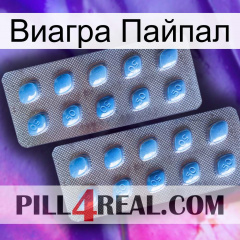 Виагра Пайпал viagra4